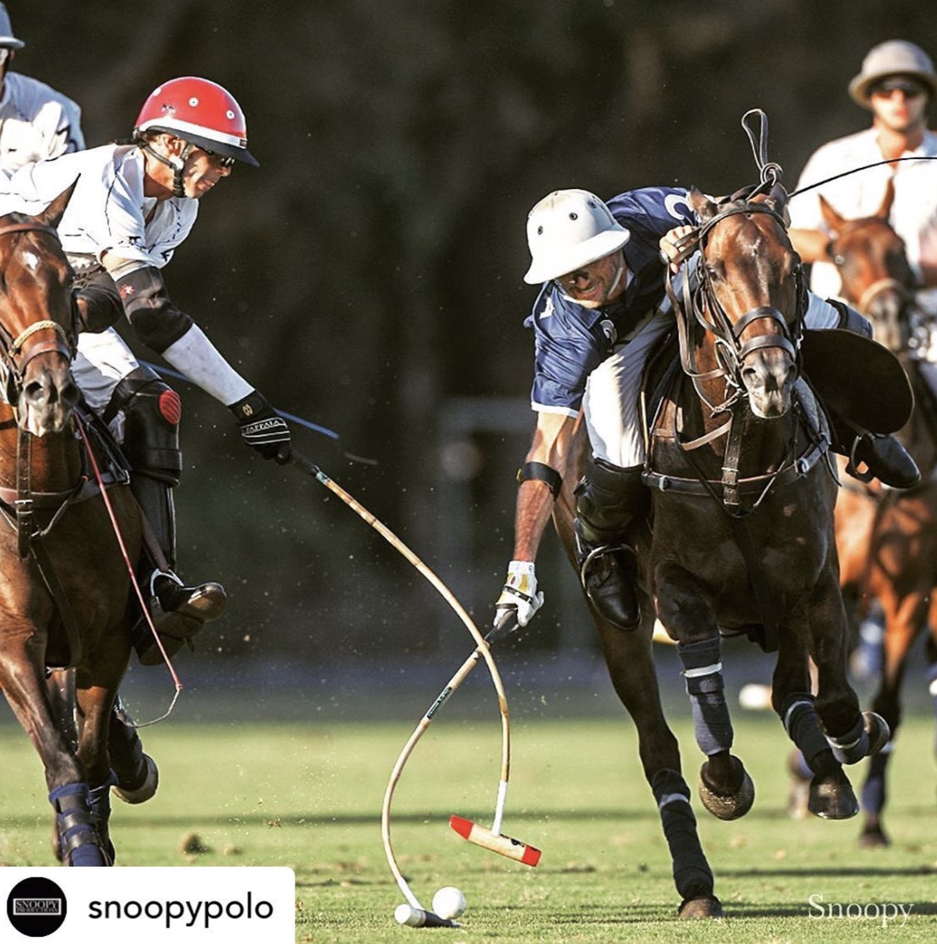 Polo match action shot